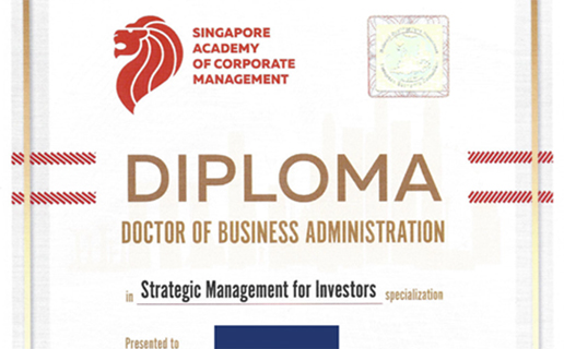Диплом BBA Strategig Management for Investors